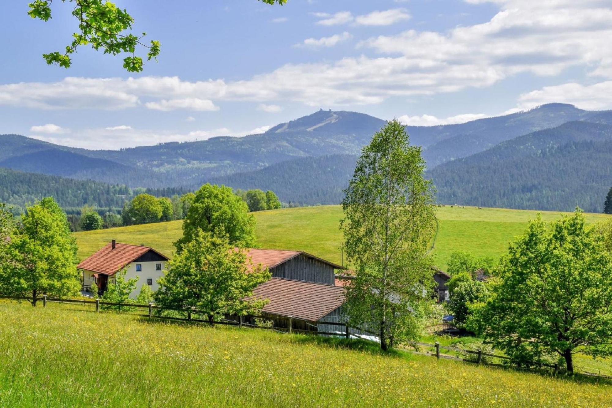 Urlaub Auf Dem Haberlhof Villa Lohberg Kültér fotó